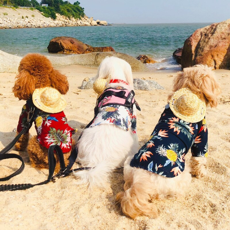 Šunų marškiniai Drabužiai Vasariniai Paplūdimio Drabužiai Liemenės Naminių gyvūnėlių Drabužiai Gėlėti marškinėliai Havajų mažoms didelėms katėms Čihuahua šuniui