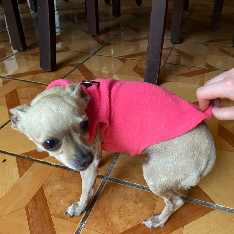 Odjeća za pse od flisa za male pse Proljeće Jesen Topla psića Mačke Prsluk Shih Tzu Odjeća za čivavu Jakna Francuski buldog Kaputi za mopse