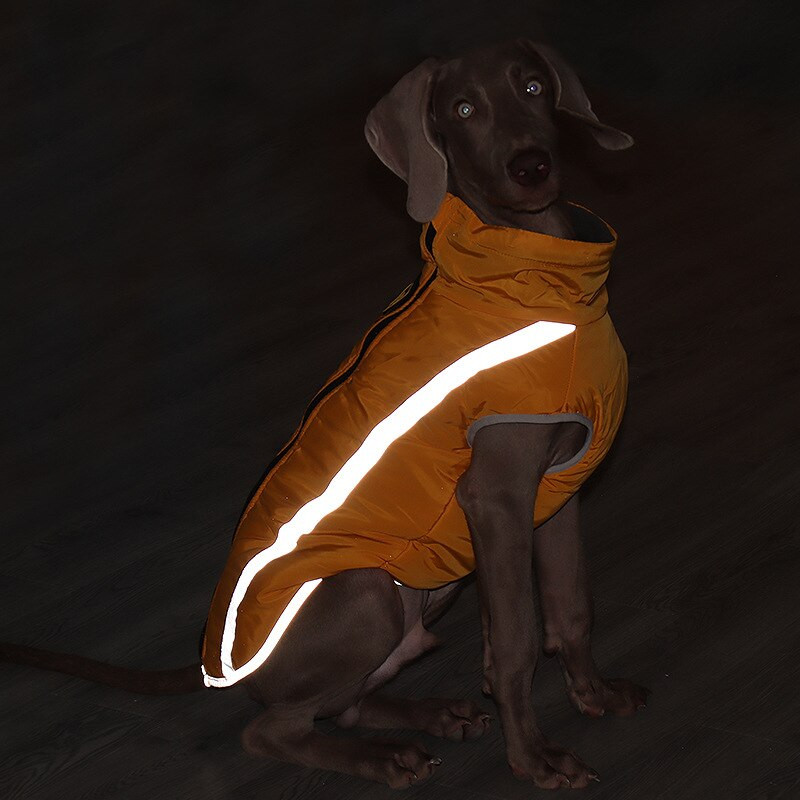 Cuttie Big Dog drabužiai žiemai Vidutinio dydžio šunų liemenė Striukė Vidutinio naminio šuns žieminiai drabužiai Drabužiai šuniukui augintiniui