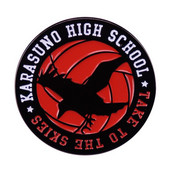 C1898 Võrkpallipoiss Reväärinõelad Märgid Anime Pin Ehted Uusaasta Kingitus Jaapani Manga Seljakott Aksessuaarid Pross