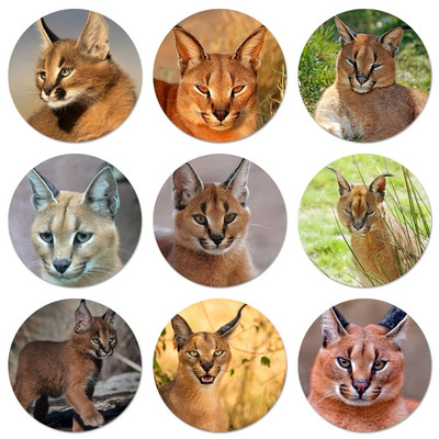 African Lynx Caracal Big Cat Icons Καρφίτσες Διακόσμηση σημάτων Καρφίτσες Μεταλλικές κονκάρδες για ρούχα Διακόσμηση σακιδίου πλάτης