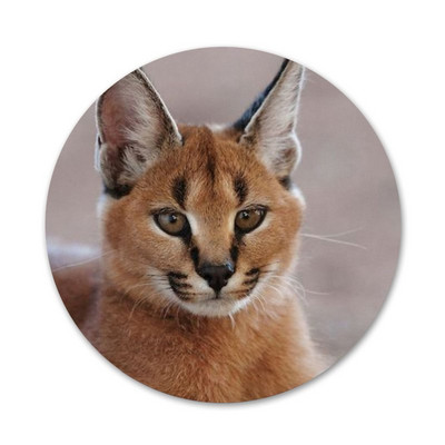 Aafrika ilves Caracal suur kass ikoonid nööpnõelad märgi kaunistus prossid metallist märgid riietele seljakoti kaunistus