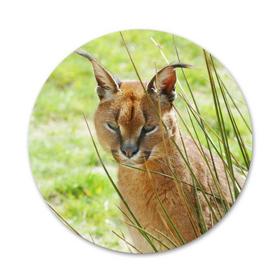 Aafrika ilves Caracal suur kass ikoonid nööpnõelad märgi kaunistus prossid metallist märgid riietele seljakoti kaunistus