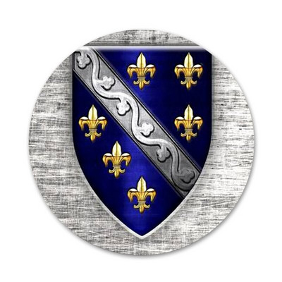 Zastava Bosne i Hercegovine Bedž Broš Igla Dodaci Za Odjeću Ruksak Dekoracija Poklon 58 mm