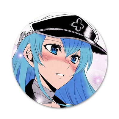 Akame ga KILL Esdeath Icons Καρφίτσες Διακοσμητικό σήμα Καρφίτσες Μεταλλικές κονκάρδες για ρούχα Διακόσμηση σακιδίου πλάτης 58mm
