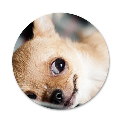 Novi dolazak I Love My Chihuahua Dog Značka Broš Igla Dodaci za odjeću Ruksak Dekoracija poklon