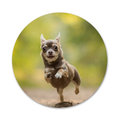 Novi dolazak I Love My Chihuahua Dog Značka Broš Igla Dodaci za odjeću Ruksak Dekoracija poklon