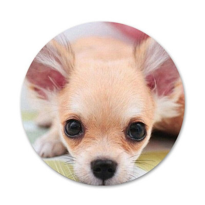 Novi dolazak I Love My Chihuahua Dog Značka Broš Igla Dodaci za odjeću Ruksak Dekoracija poklon