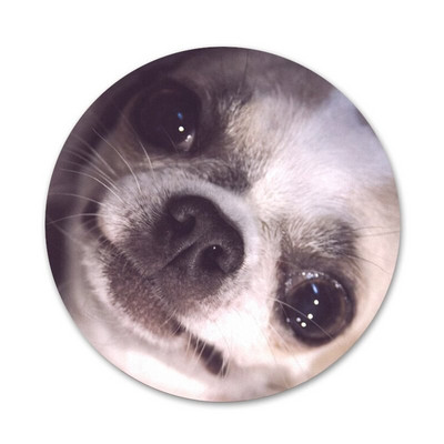 Novi dolazak I Love My Chihuahua Dog Značka Broš Igla Dodaci za odjeću Ruksak Dekoracija poklon