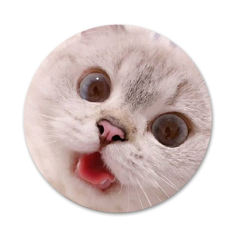 Novi dolazak I Love My Chihuahua Dog Značka Broš Igla Dodaci za odjeću Ruksak Dekoracija poklon