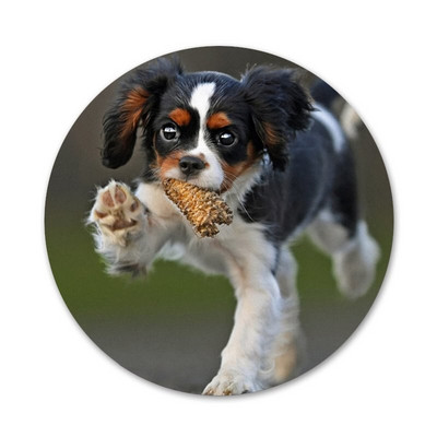 58mm Cavalier King Charles Broșă Broșă Accesorii Pentru Îmbrăcăminte Rucsac Decorare cadou