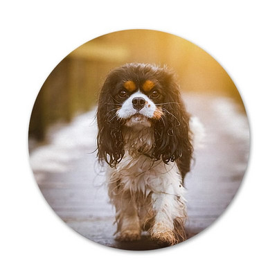 58mm Cavalier King Charles Broșă Broșă Accesorii Pentru Îmbrăcăminte Rucsac Decorare cadou
