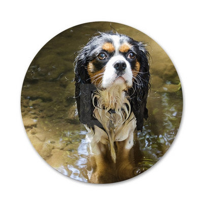 58mm Cavalier King Charles Broșă Broșă Accesorii Pentru Îmbrăcăminte Rucsac Decorare cadou