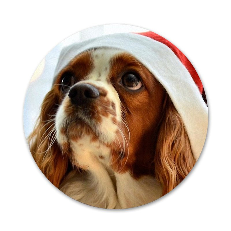 58mm Cavalier King Charles Broșă Broșă Accesorii Pentru Îmbrăcăminte Rucsac Decorare cadou