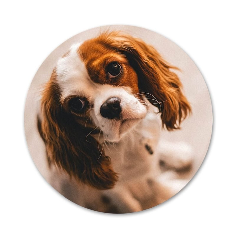 58mm Cavalier King Charles Broșă Broșă Accesorii Pentru Îmbrăcăminte Rucsac Decorare cadou