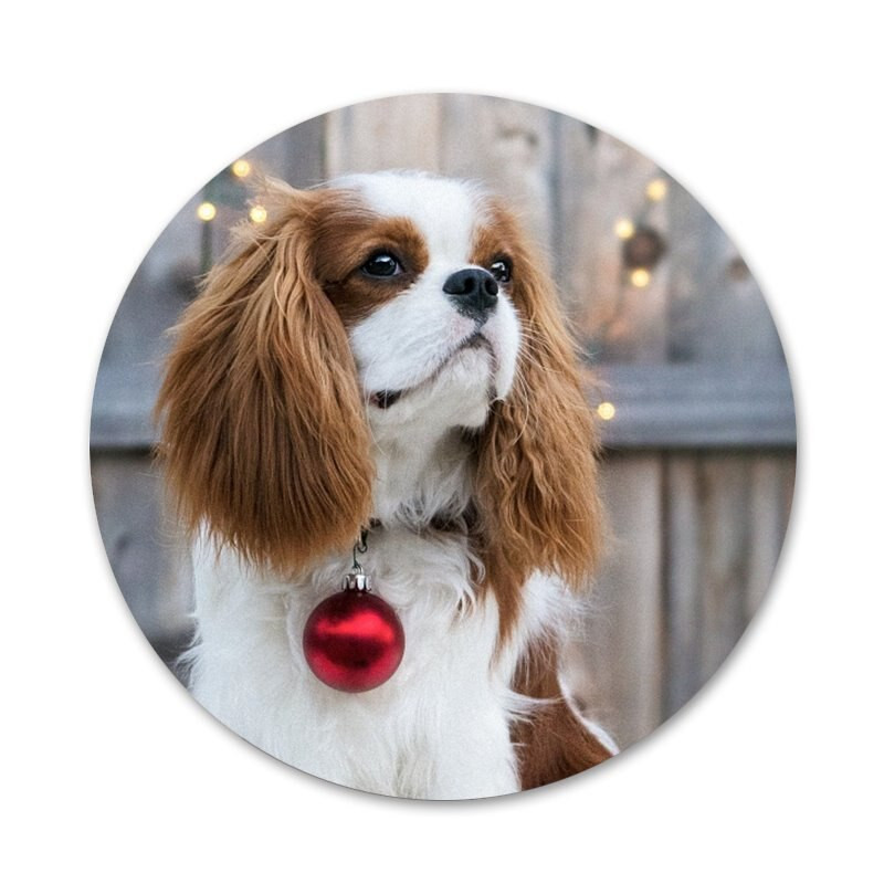 58mm Cavalier King Charles Broșă Broșă Accesorii Pentru Îmbrăcăminte Rucsac Decorare cadou