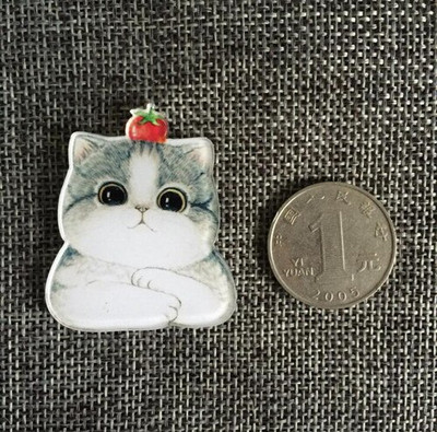 1 PC Crtić Mačka Ptica Mlijeko Jaje Pas Broš Akrilne značke Ikone na ruksaku Igla Značka Ukrasne značke za odjeću