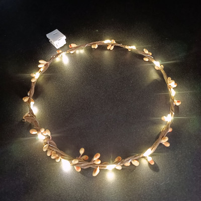 Sieviešu meitene, gaiši mirgojoša matu sprādze