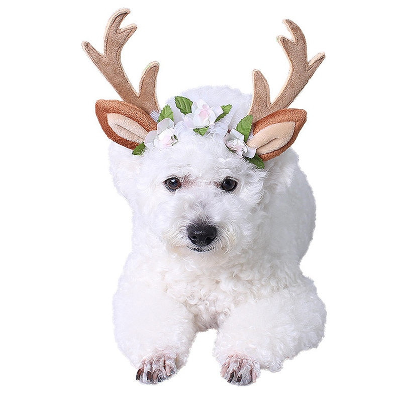 Kalėdinė galvos juosta naminiams gyvūnėliams Elnio rago kepurė šuniukas šuniukas katė Cosplay vakarėlio gaminys šunų priedai Kalėdų naminių gyvūnėlių galvos juosta U2