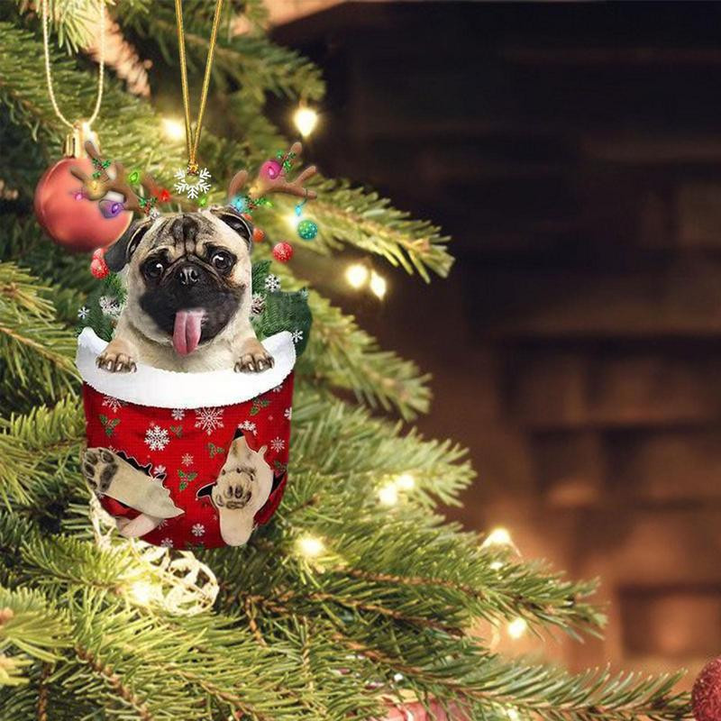 Koerte sukad jõulukuuseehted Koeraehted jõulupuu jaoks Akrüülist jõulusokid Ukseriistad jõulukingitused lemmikloomasõpradele