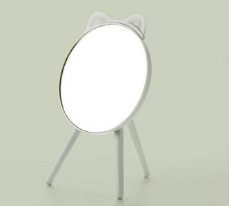 kaasaskantav kosmeetiline peegel koos panipaigaga