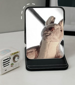 Kokkupandav kosmeetiline peegel