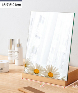 Kaasaskantav peegel - mitu mudelit