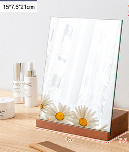 Kaasaskantav peegel - mitu mudelit