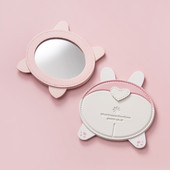 Väike kaasaskantav peegel