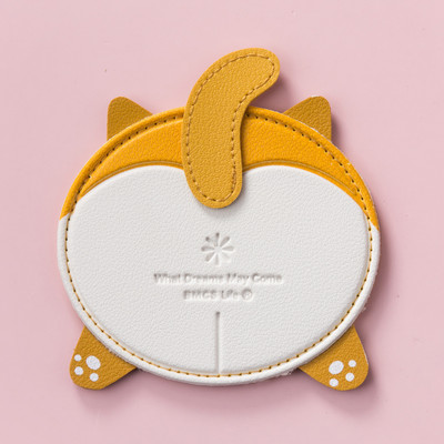 Väike kaasaskantav peegel