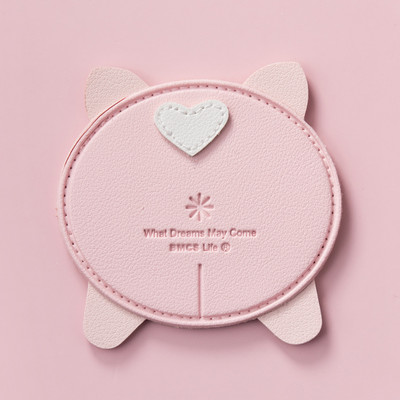 Väike kaasaskantav peegel