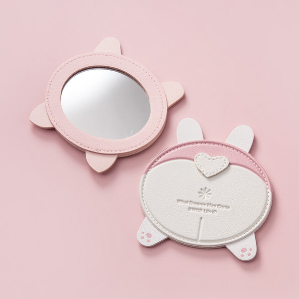 Väike kaasaskantav peegel