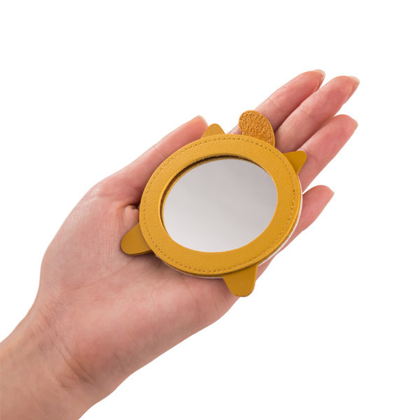 Väike kaasaskantav peegel