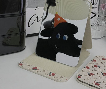 Kaasaskantav lauapeegel