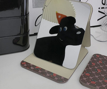 Kaasaskantav lauapeegel