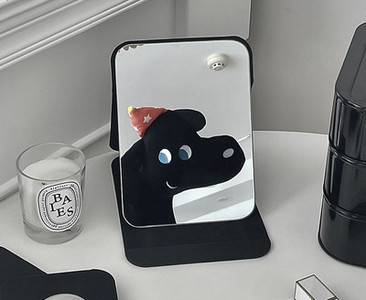 Kaasaskantav lauapeegel