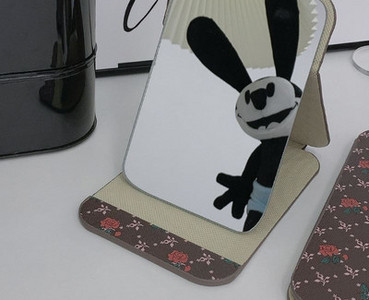 Kaasaskantav lauapeegel