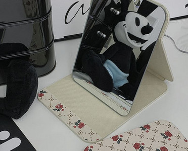 Kaasaskantav lauapeegel