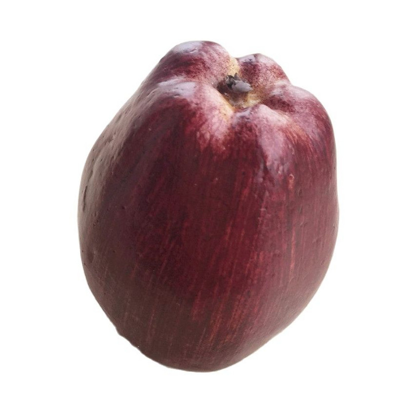 12 tk võltsapelsini puu kunstlik simulatsioonipuu õun virsik sidrun pirn granaatõuna mänguasjad lastele pulmafoto rekvisiidid