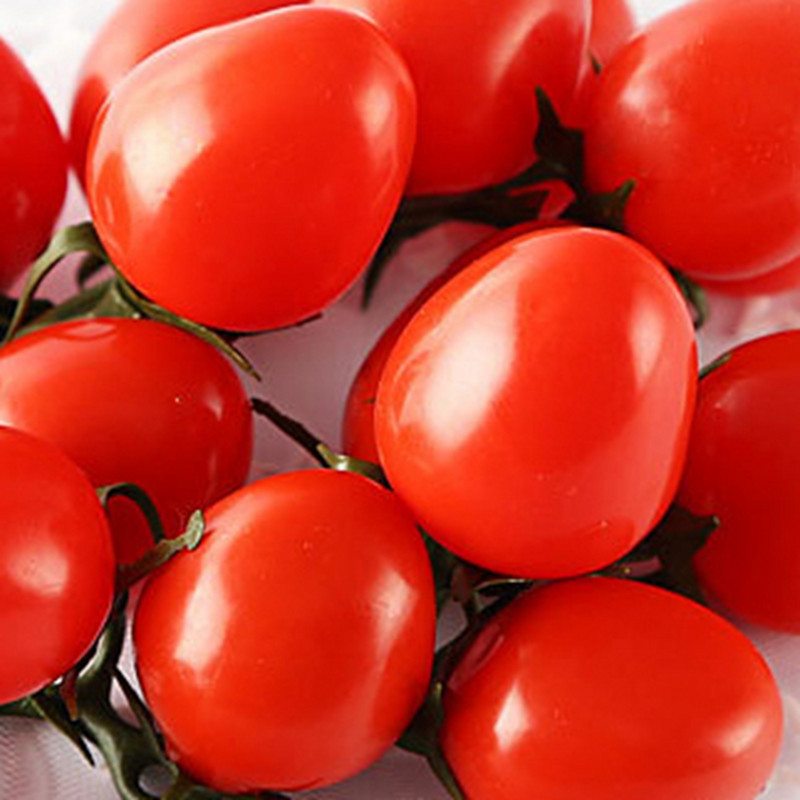 Umjetna rajčica Realistična izložba voćarne Ukrasna smola Hotel za vjenčanja Kućni dekor Dječja nastavna pomagala Kalup za fotografije