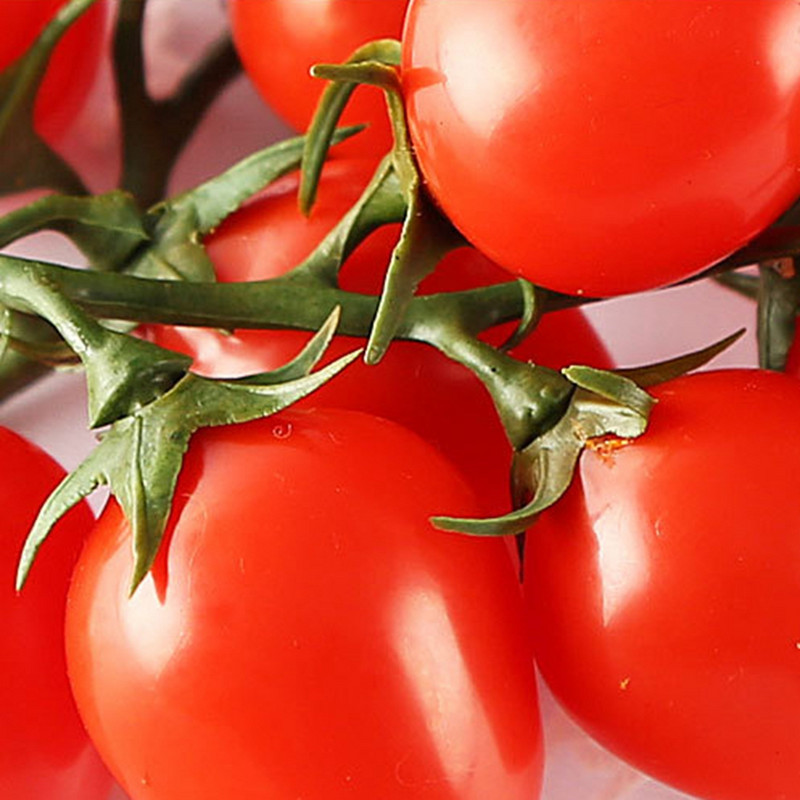 Umjetna rajčica Realistična izložba voćarne Ukrasna smola Hotel za vjenčanja Kućni dekor Dječja nastavna pomagala Kalup za fotografije