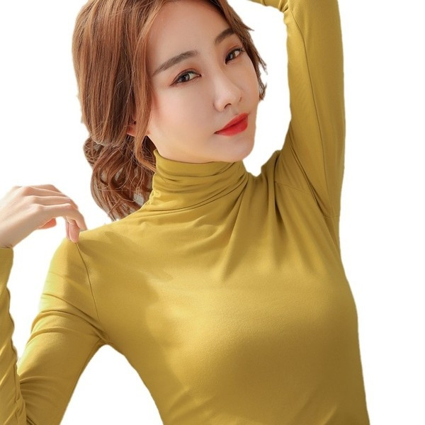 Čista bluza s visokim ovratnikom