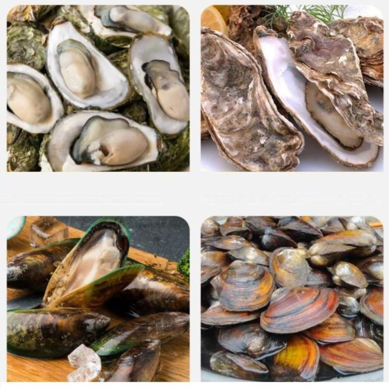 Unelte pentru stridii din oțel inoxidabil cu mâner antiderapant din lemn, teacă din piele și mănuși rezistente, instrumente pentru fructe de mare, gadgeturi