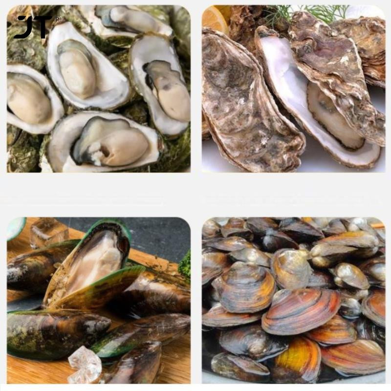 Unelte pentru scobirea stridiilor din oțel inoxidabil cu mâner din lemn Teaca din piele antiderapante și mănuși rezistente Instrumente pentru fructe de mare Gadgets