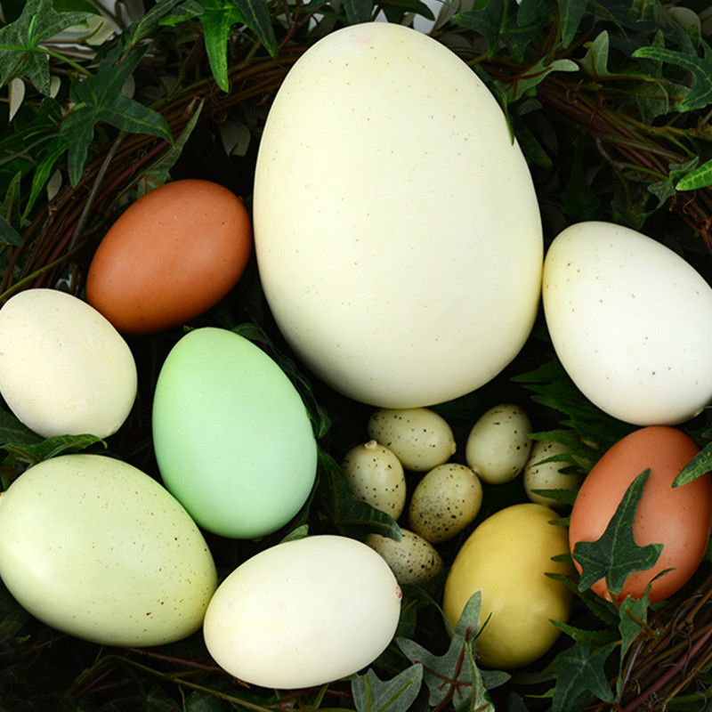 Simulare artificială falsă ouă de struț mari de dinozaur Cadouri de Paște Recuzită alimentară Jucării pentru copii Hotel Restaurant Magazin Decorare