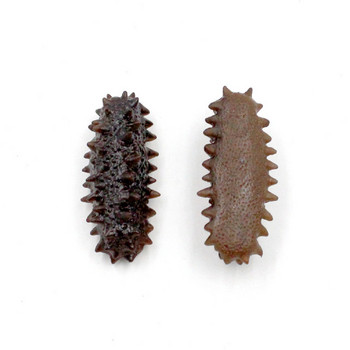 Προσομοίωση Sea Cucumber Artificial Food Aquatic Sea Cucumber Model Fun Food Photography Props Παιδικά παιχνίδια holothurian Simul