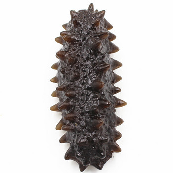 Προσομοίωση Sea Cucumber Artificial Food Aquatic Sea Cucumber Model Fun Food Photography Props Παιδικά παιχνίδια holothurian Simul