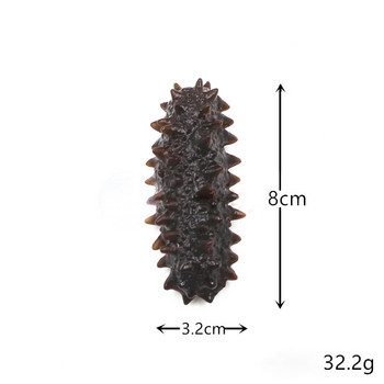 Προσομοίωση Sea Cucumber Artificial Food Aquatic Sea Cucumber Model Fun Food Photography Props Παιδικά παιχνίδια holothurian Simul