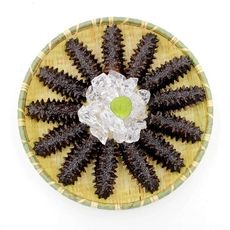 Simulare de castraveți de mare hrană artificială model de castraveți de mare acvatici, alimente distractive, recuzită pentru fotografie, jucării pentru copii, holothurian Simul