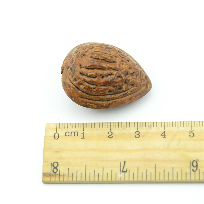 Ieftin 10 bucăți simulare artificială fructe migdale decorațiuni de nuntă acasă cadouri de Crăciun jucării cognitive accesorii bricolaj